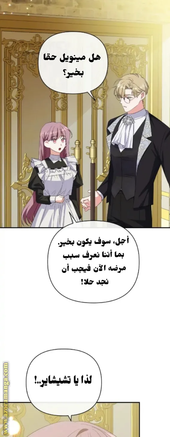 الصفحة 49