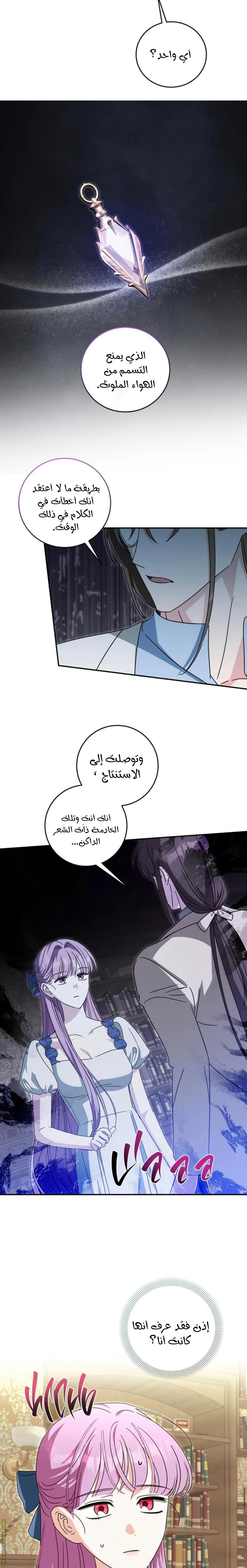 الصفحة 13