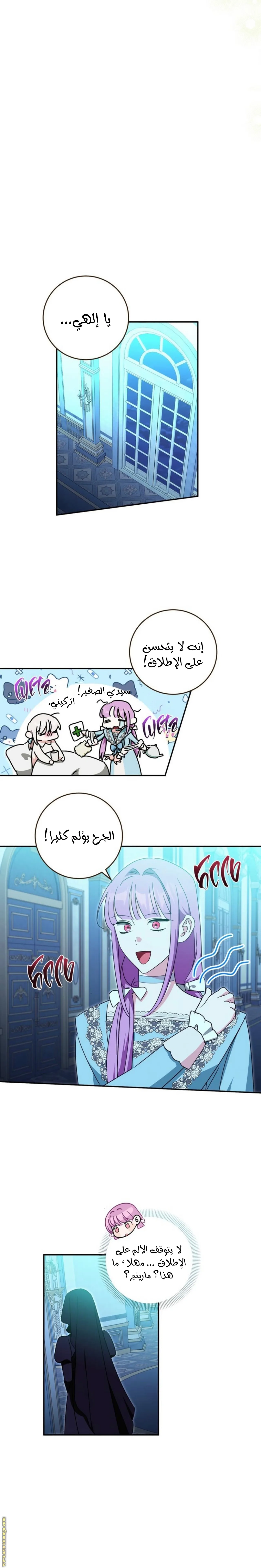 الصفحة 20