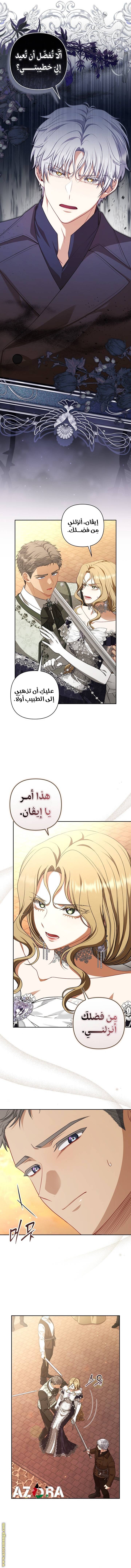 الصفحة 3
