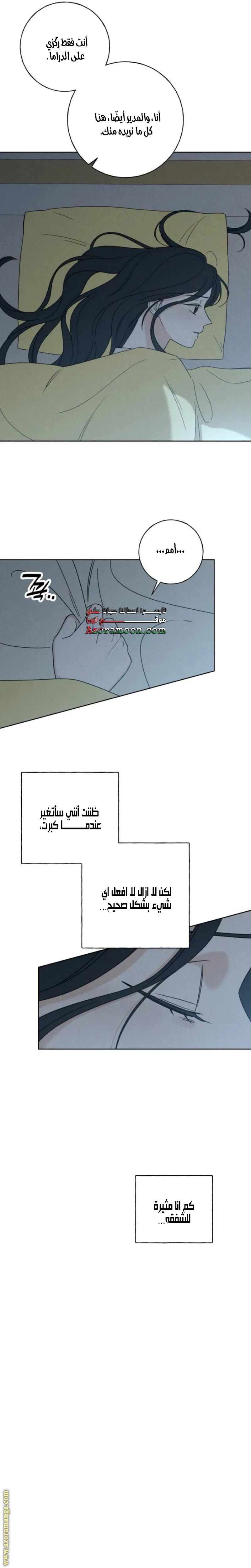 الصفحة 13