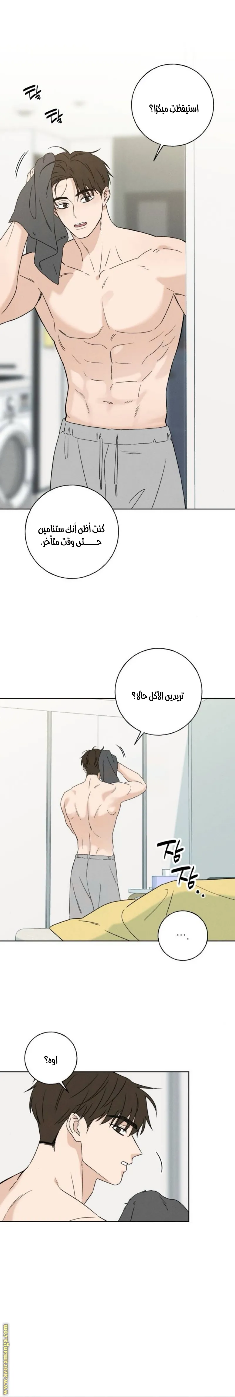 الصفحة 25