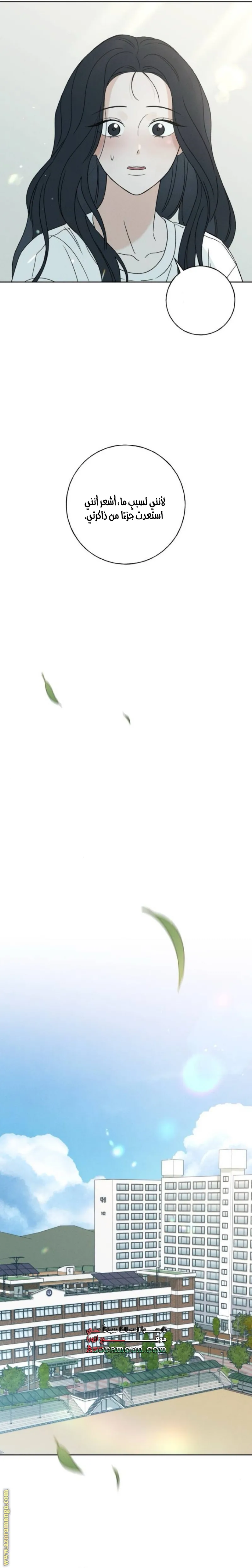 الصفحة 29