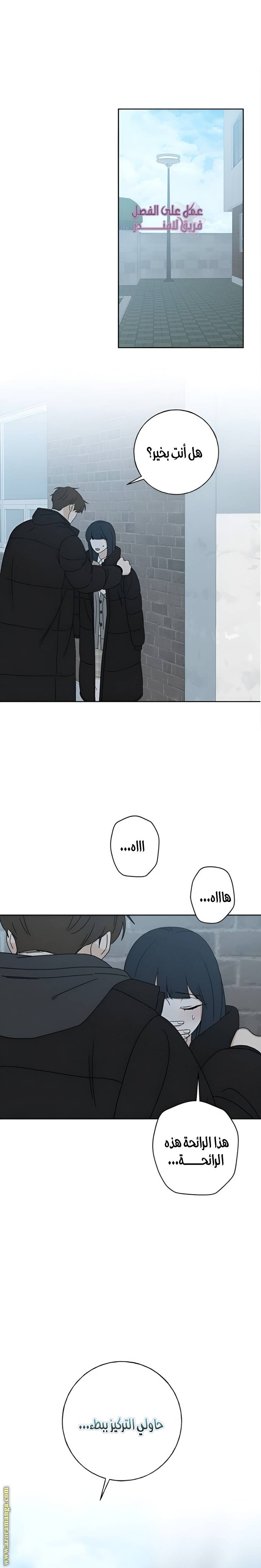 الصفحة 13