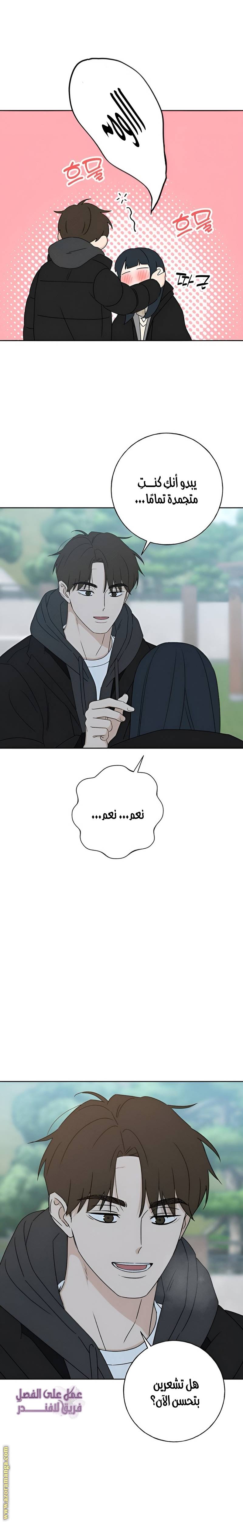 الصفحة 17