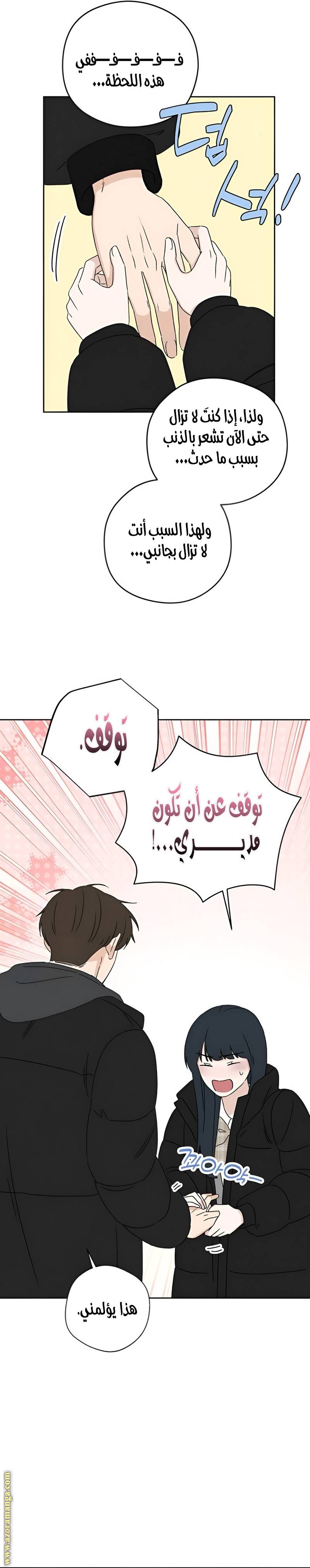 الصفحة 27