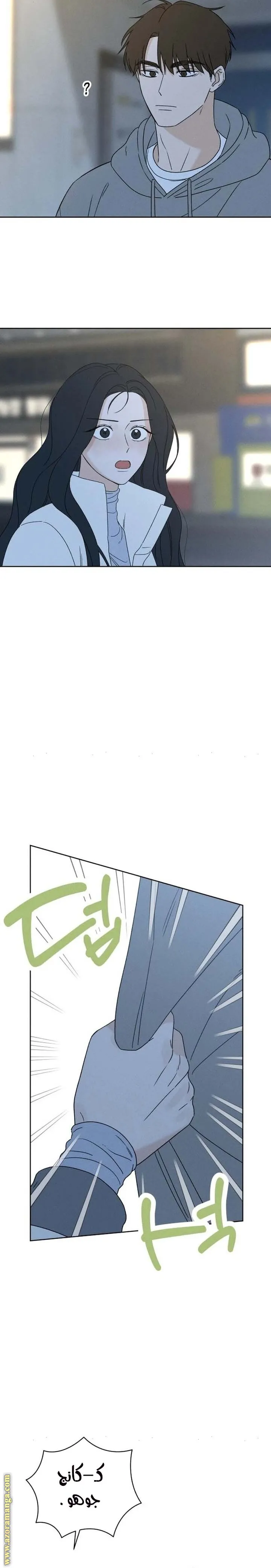 الصفحة 25