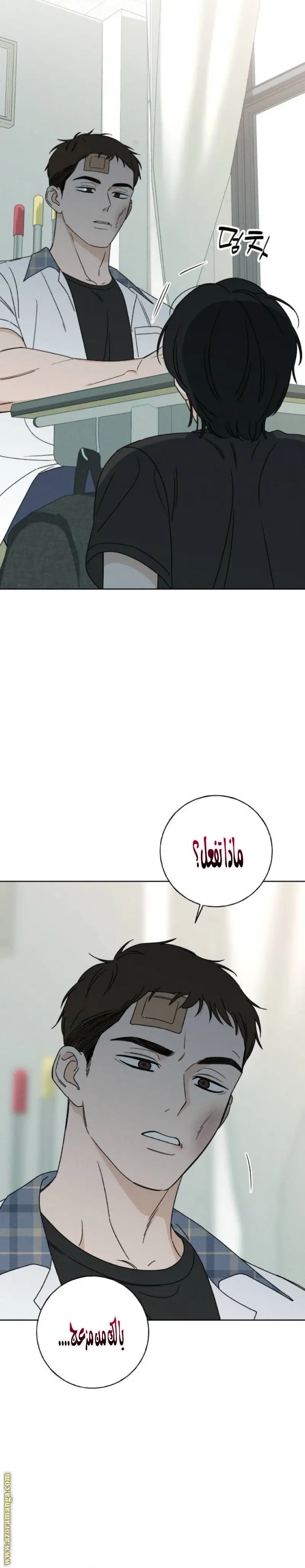الصفحة 9