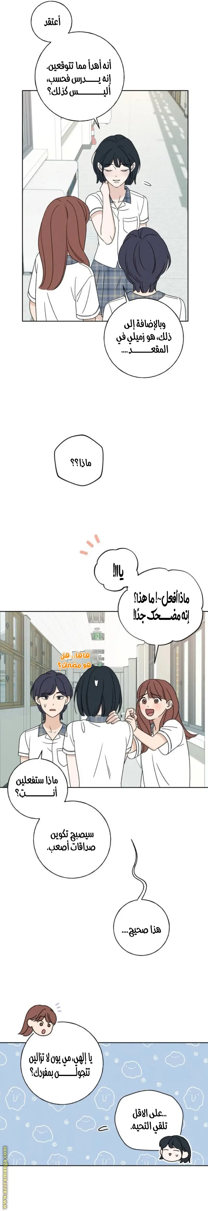 الصفحة 17