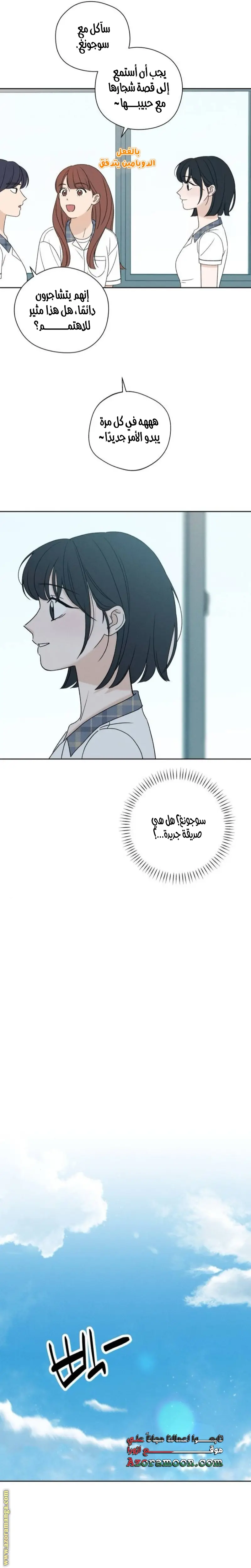 الصفحة 19