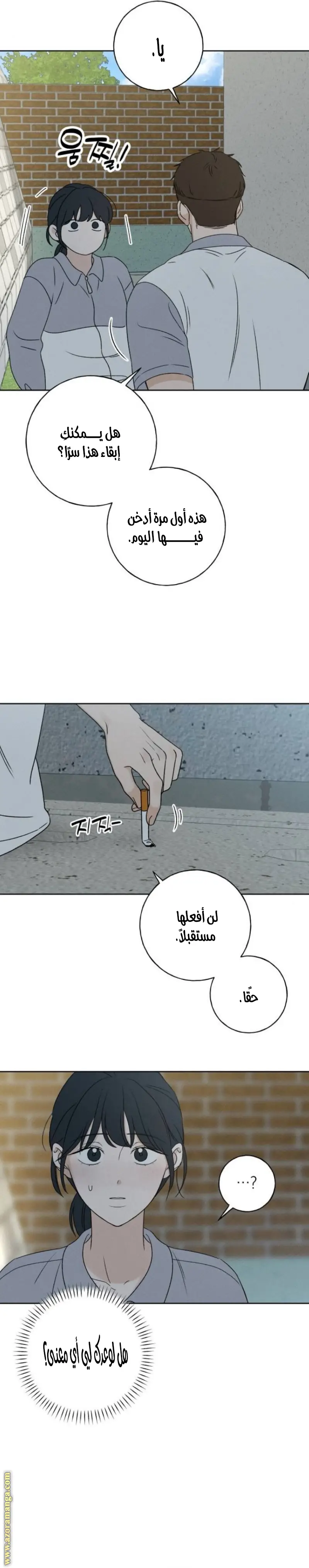 الصفحة 27
