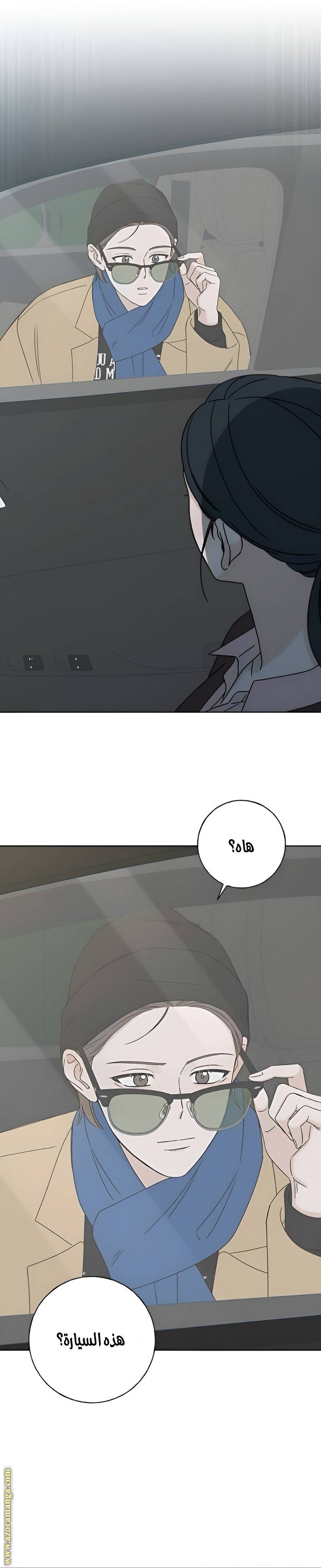 الصفحة 21