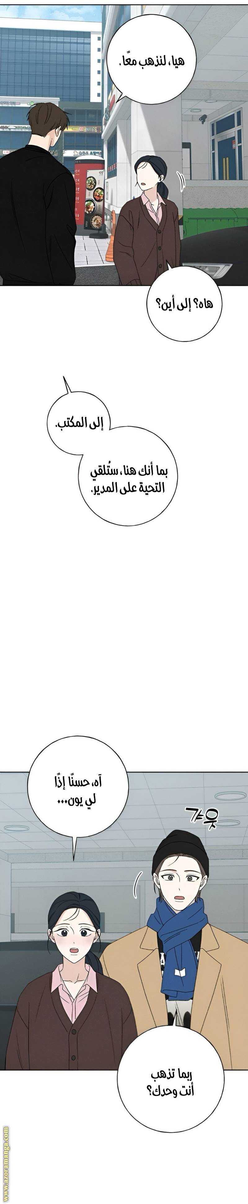 الصفحة 29