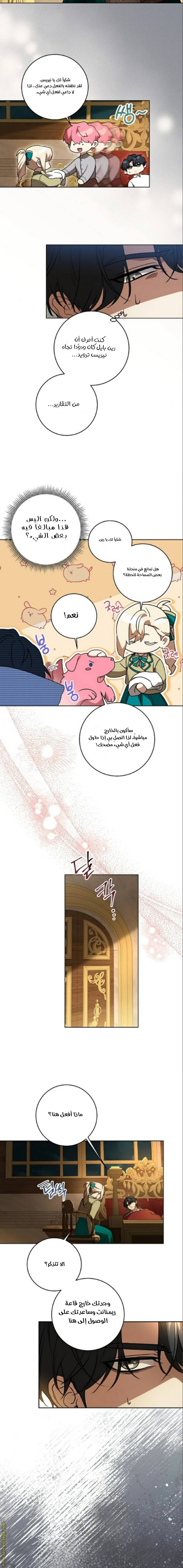 الصفحة 11