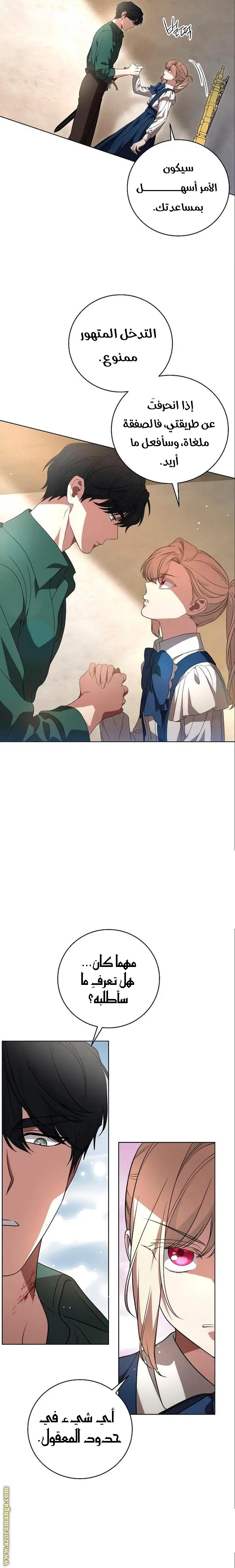 الصفحة 17