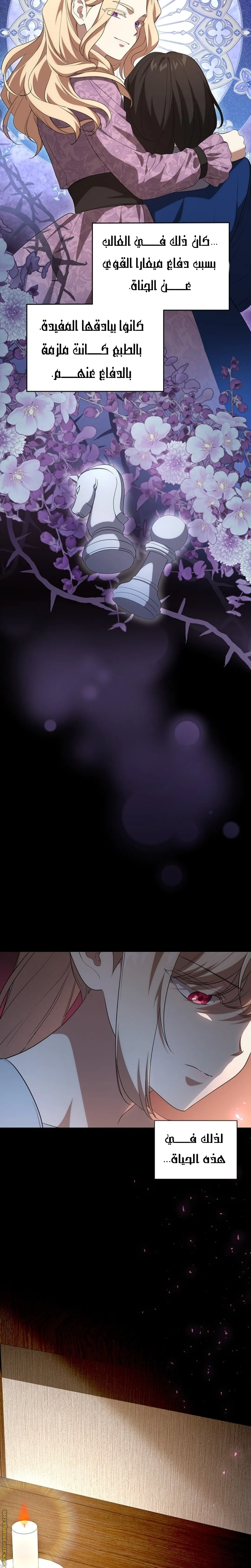 الصفحة 25