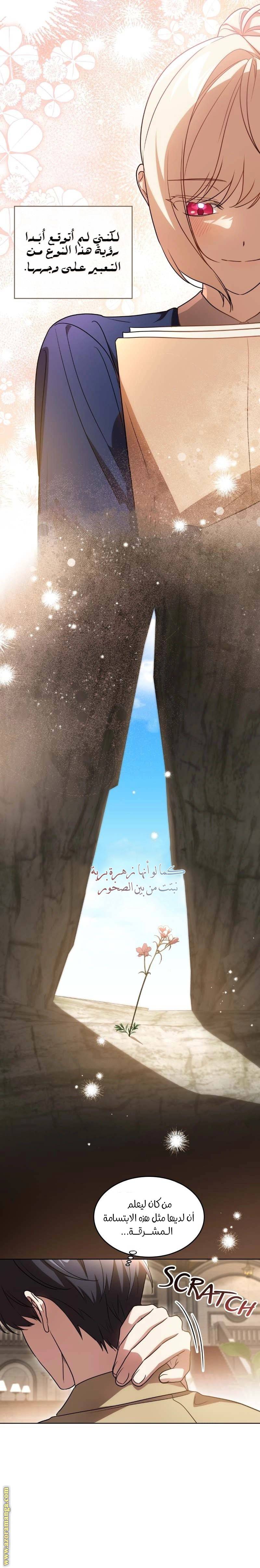 الصفحة 17
