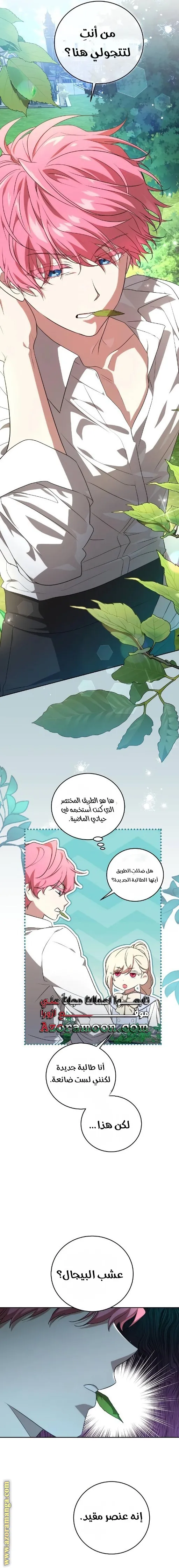الصفحة 13
