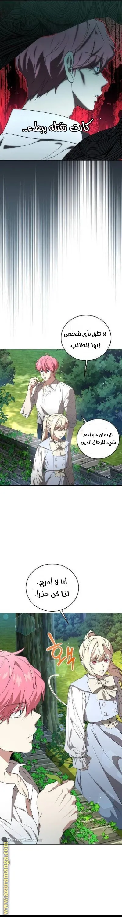 الصفحة 17