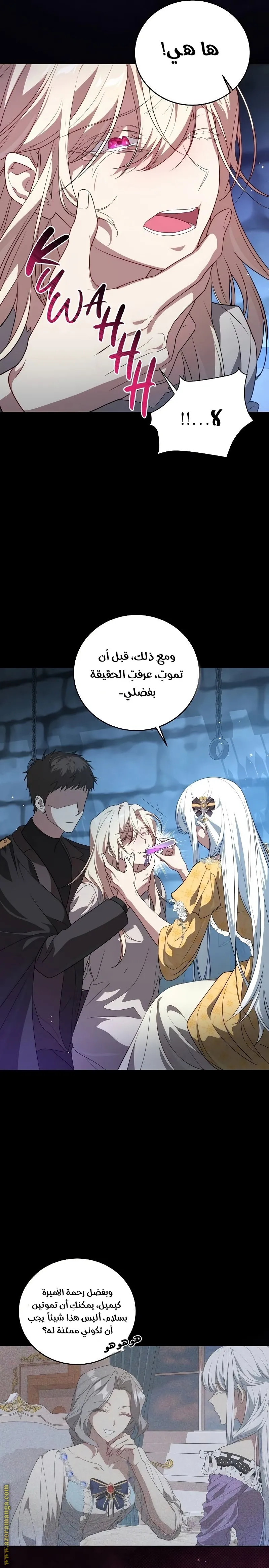 الصفحة 12