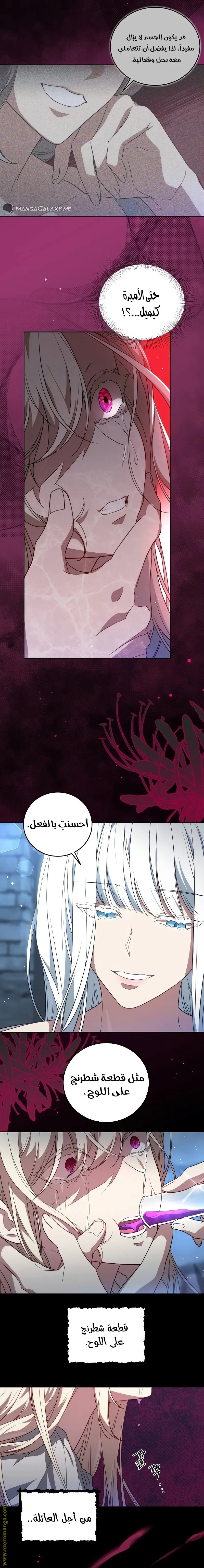 الصفحة 13