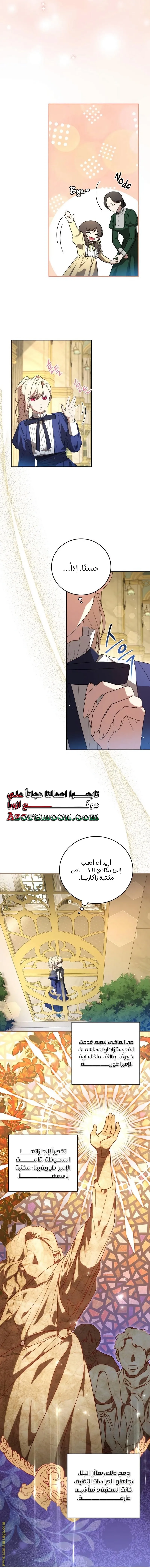 الصفحة 17