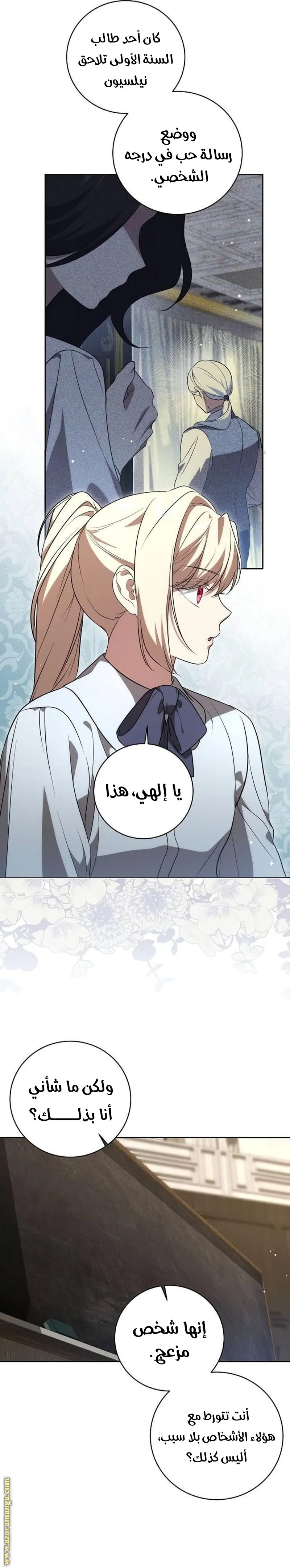 الصفحة 17