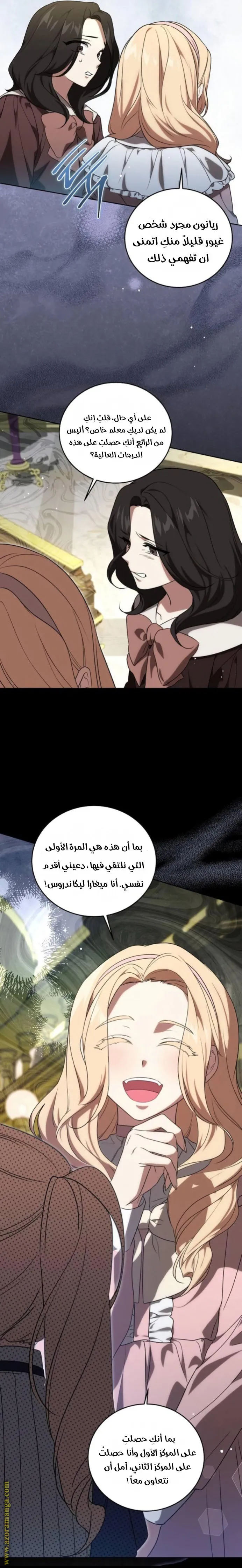 الصفحة 17