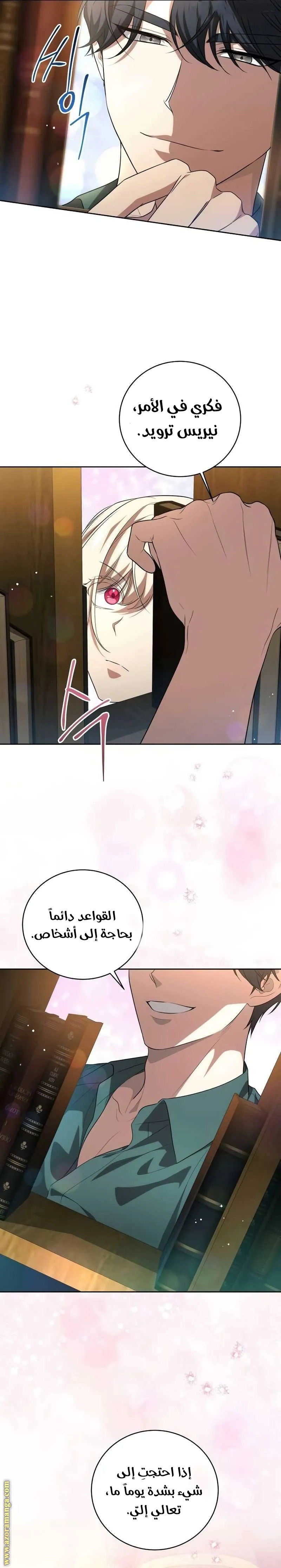الصفحة 13