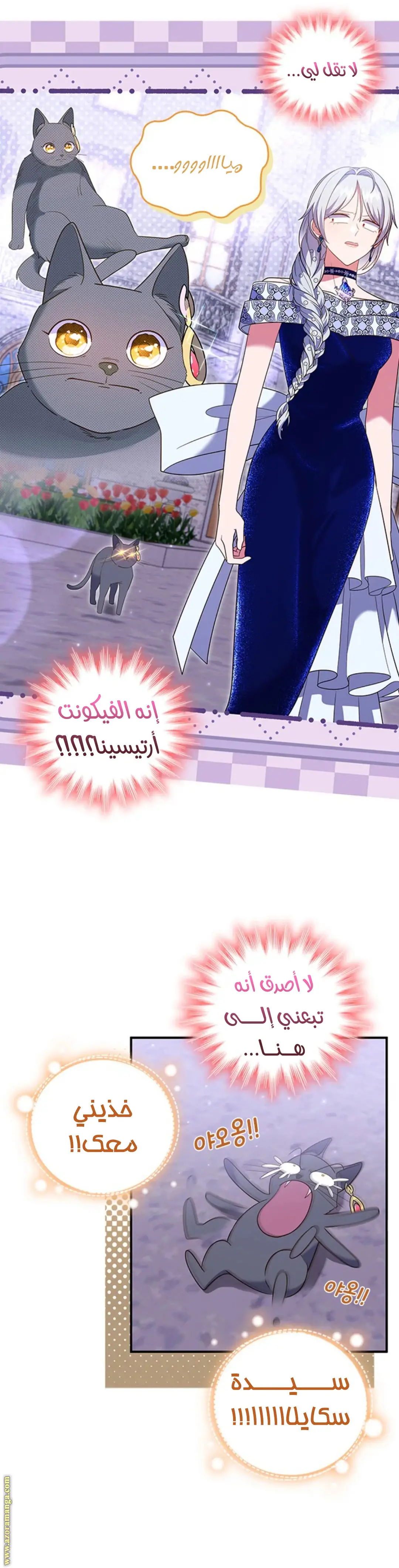 الصفحة 26