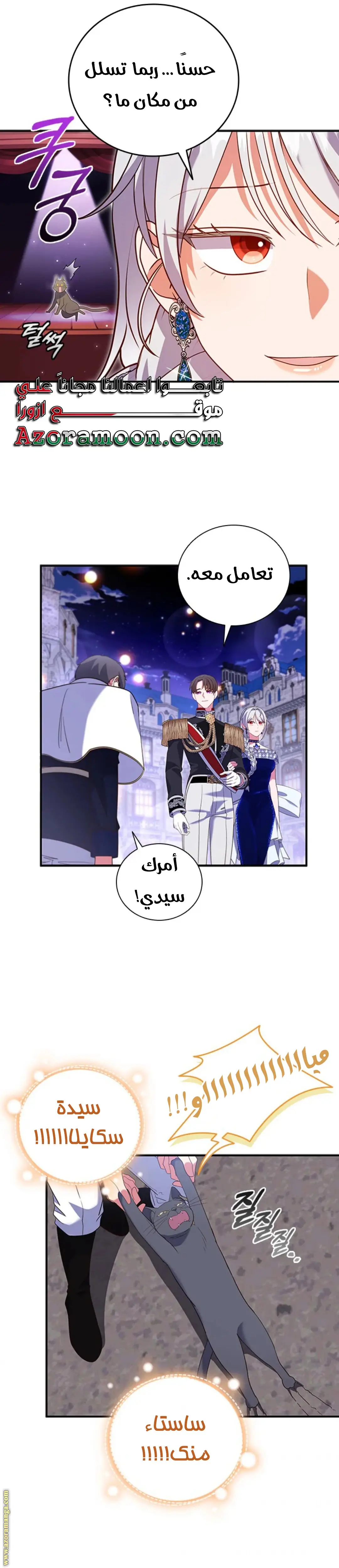 الصفحة 27