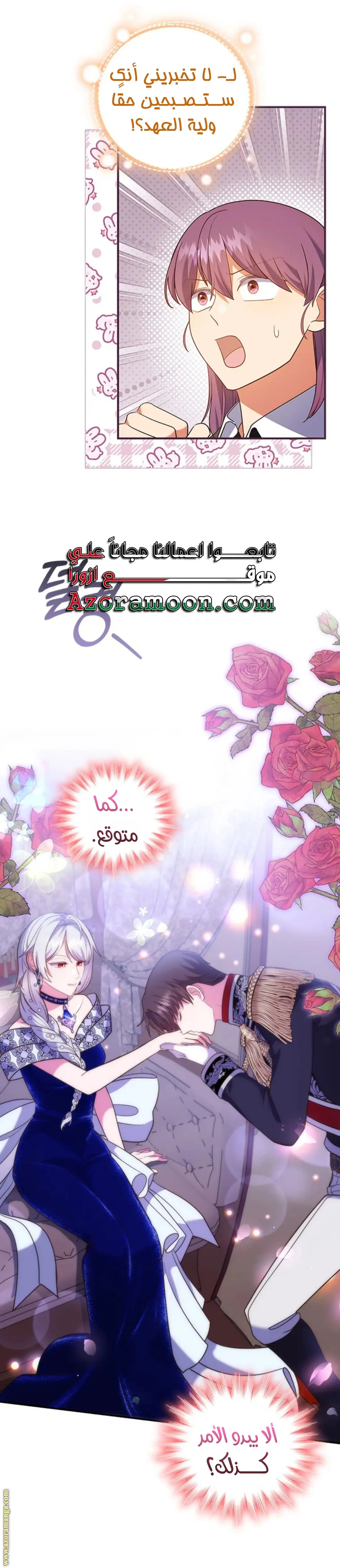 الصفحة 29