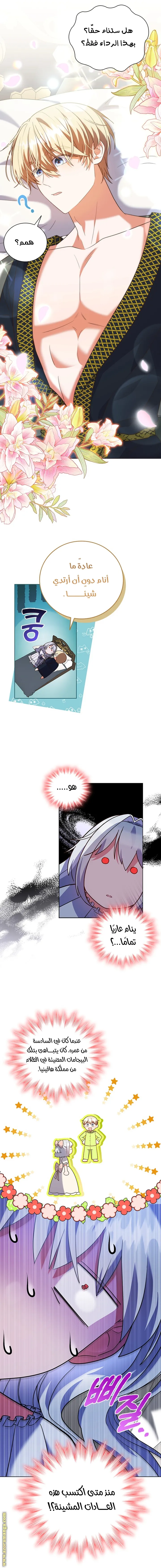 الصفحة 5