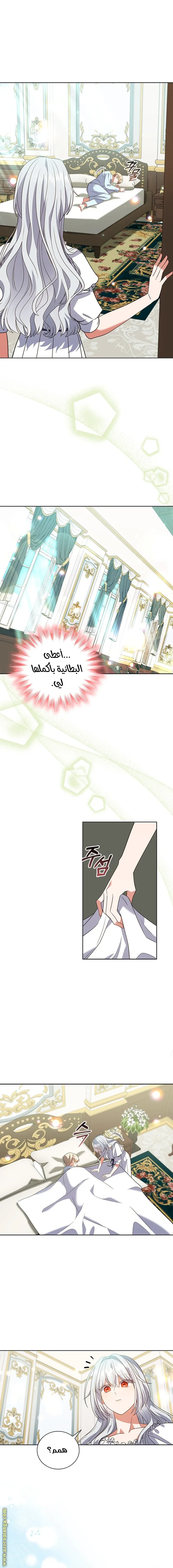 الصفحة 11