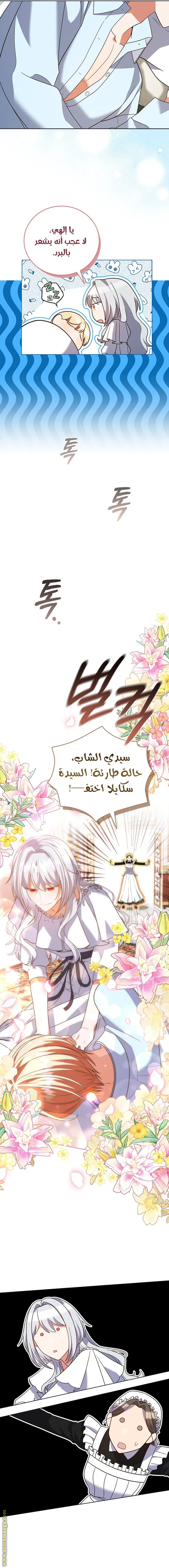 الصفحة 12