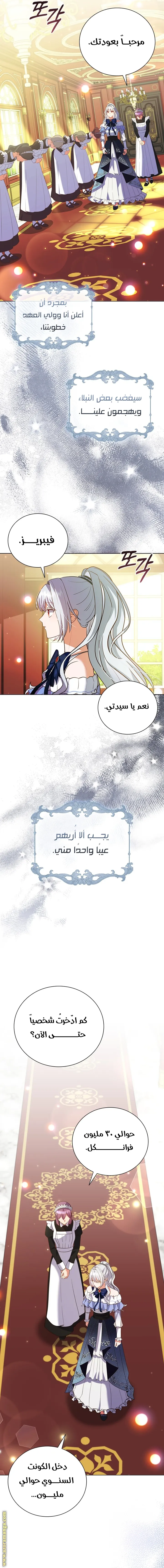الصفحة 17