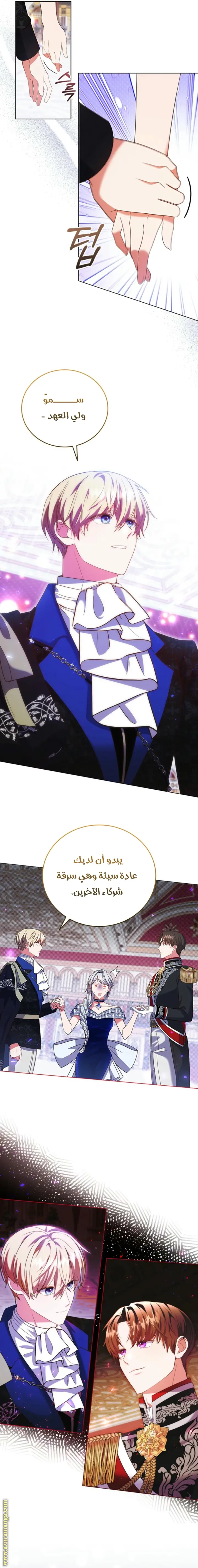 الصفحة 13