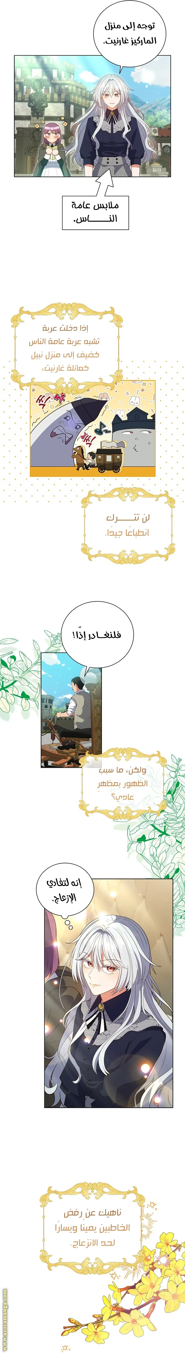 الصفحة 12