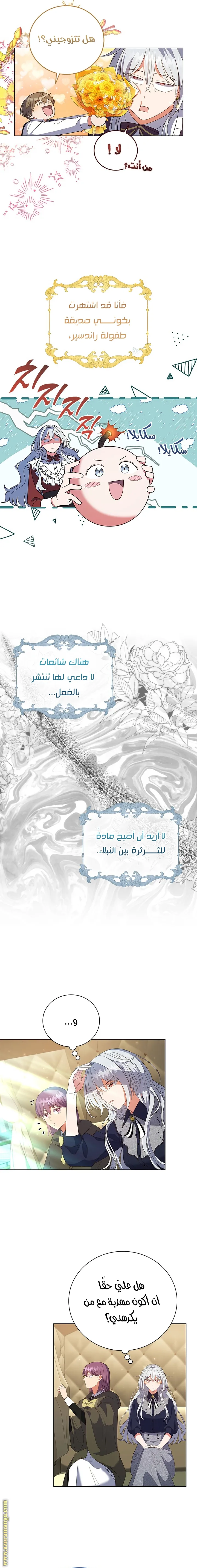 الصفحة 13