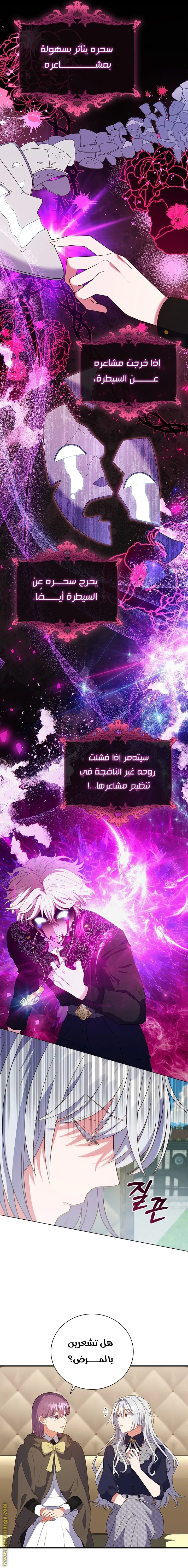 الصفحة 17