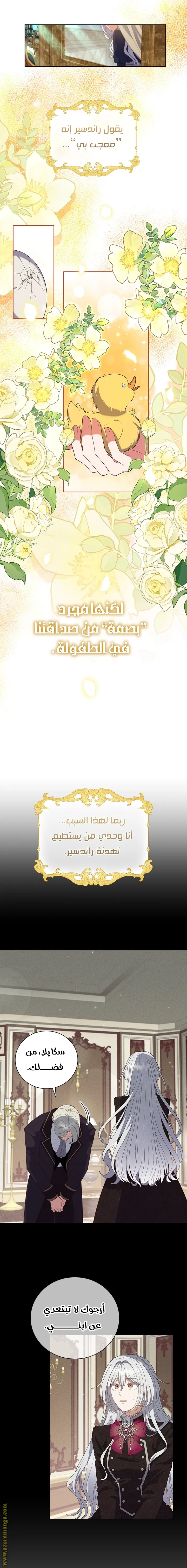 الصفحة 19