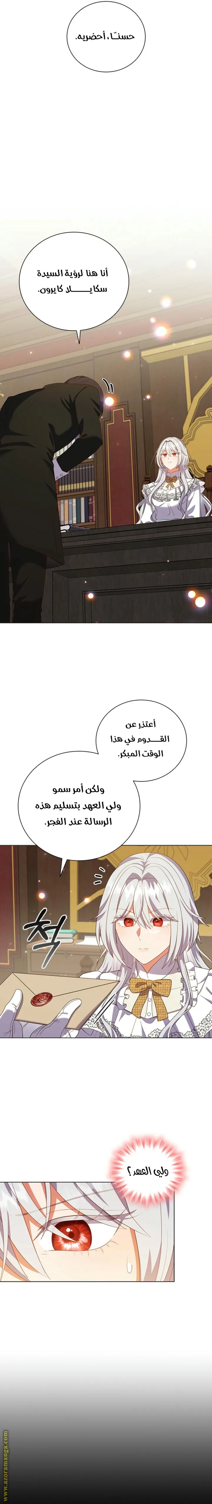الصفحة 17