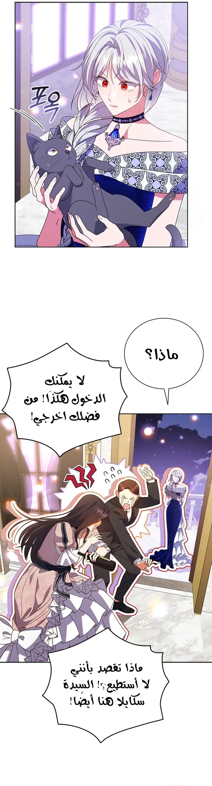 الصفحة 14