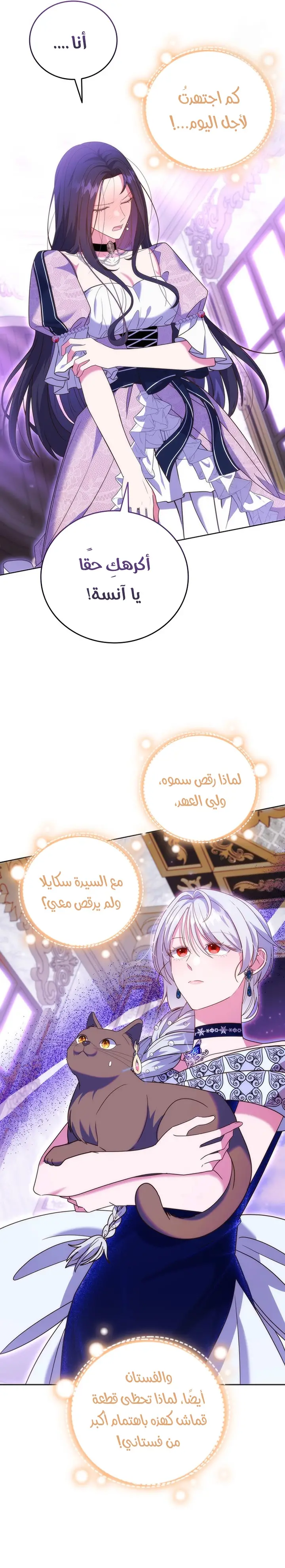 الصفحة 17