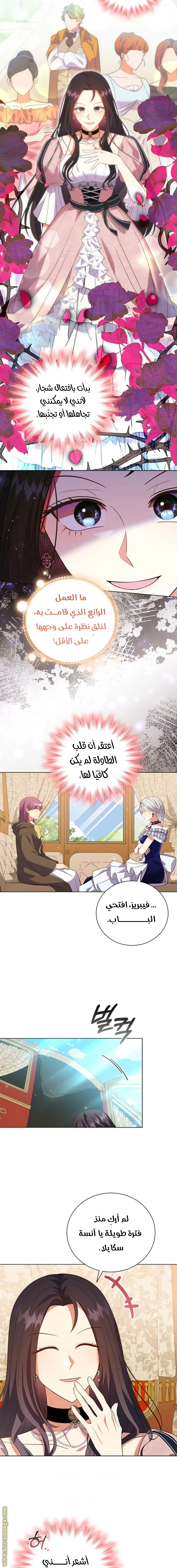 الصفحة 13