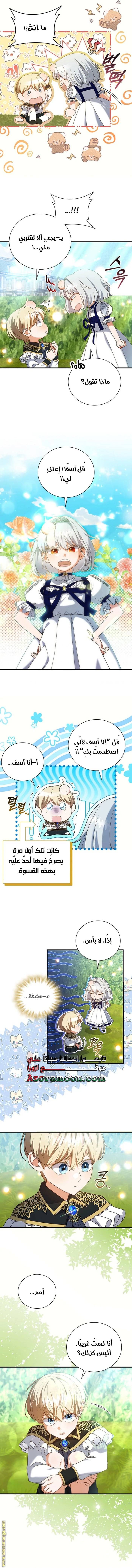 الصفحة 3