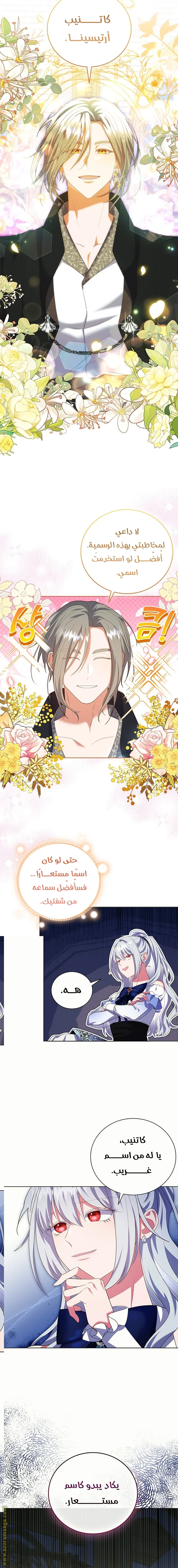 الصفحة 3