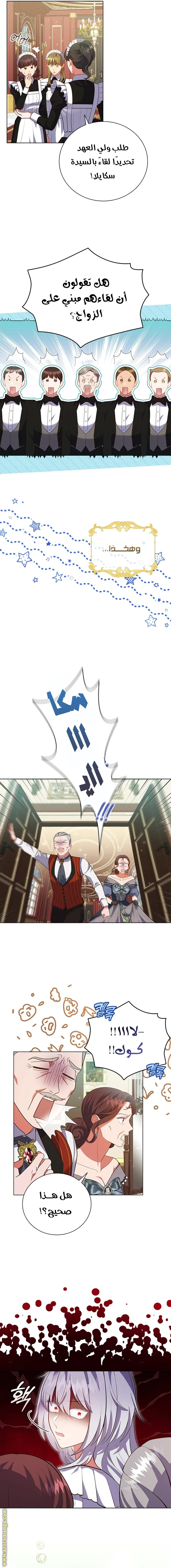 الصفحة 3