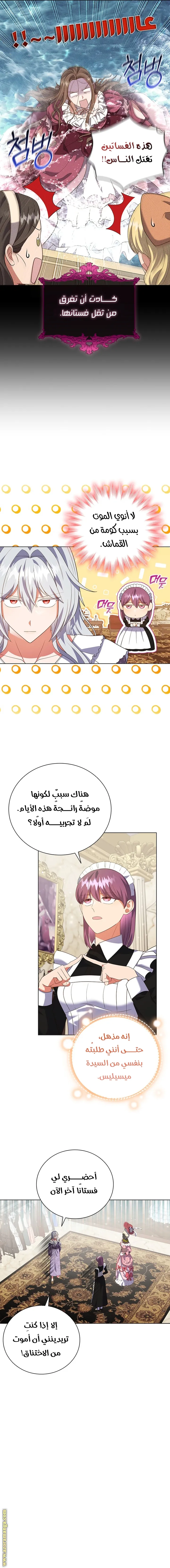 الصفحة 8