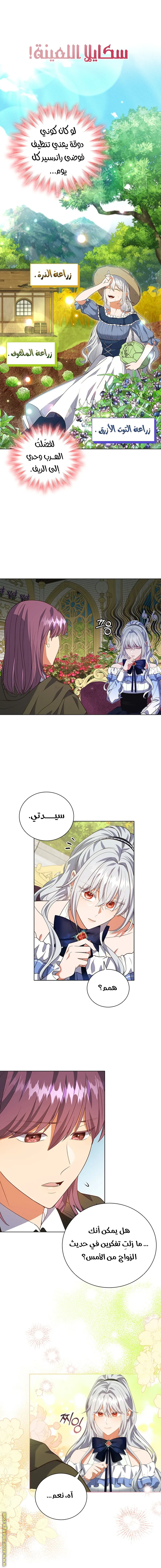 الصفحة 15